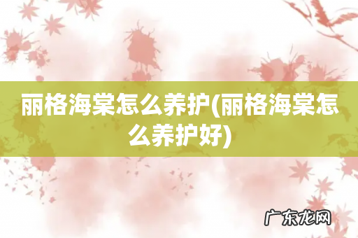 丽格海棠怎么养护好 丽格海棠怎么养护