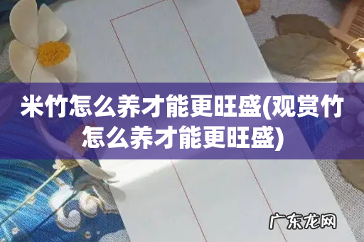 观赏竹怎么养才能更旺盛 米竹怎么养才能更旺盛