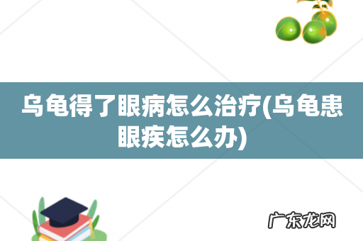 乌龟患眼疾怎么办 乌龟得了眼病怎么治疗