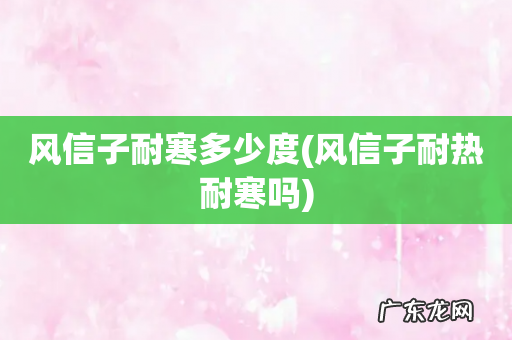 风信子耐热耐寒吗 风信子耐寒多少度