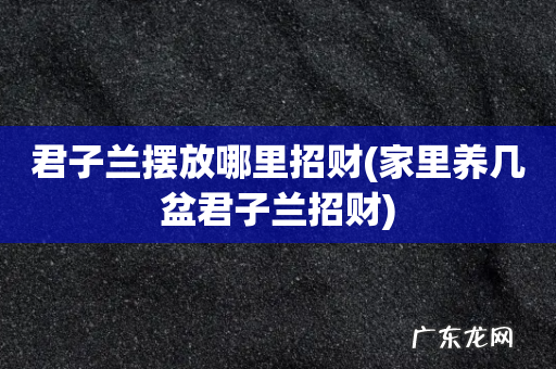 家里养几盆君子兰招财 君子兰摆放哪里招财