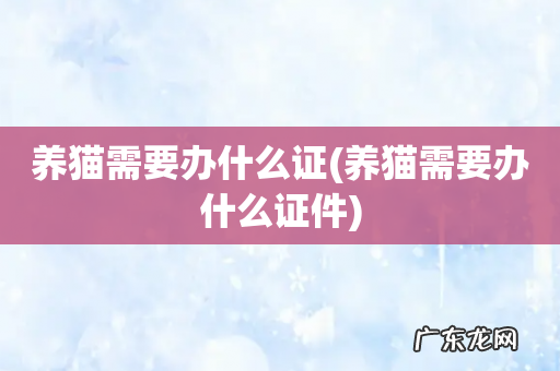 养猫需要办什么证件 养猫需要办什么证