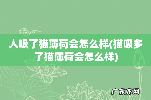 猫吸多了猫薄荷会怎么样 人吸了猫薄荷会怎么样