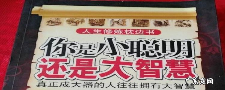 小聪明和大智慧的区别是什么