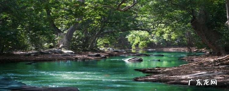 焦化废水处理工艺有哪些