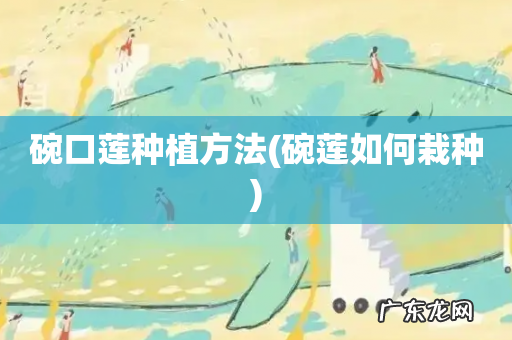 碗莲如何栽种 碗口莲种植方法