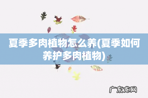 夏季如何养护多肉植物 夏季多肉植物怎么养