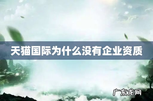 天猫国际为什么没有企业资质