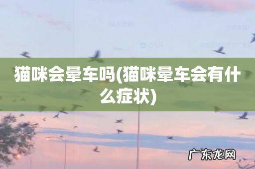 猫咪晕车会有什么症状 猫咪会晕车吗