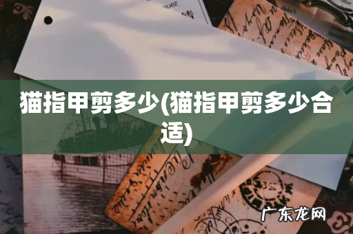 猫指甲剪多少合适 猫指甲剪多少
