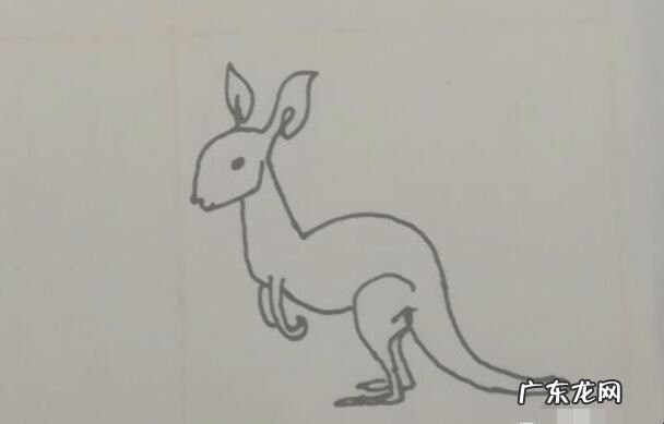 小袋鼠简笔画怎么画