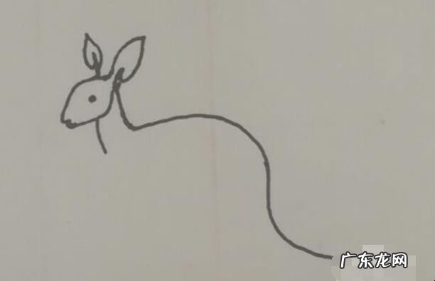 小袋鼠简笔画怎么画