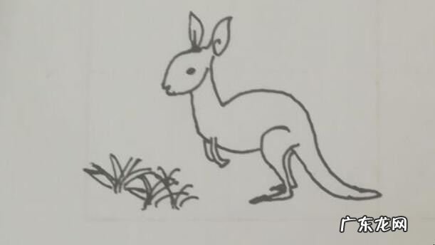 小袋鼠简笔画怎么画