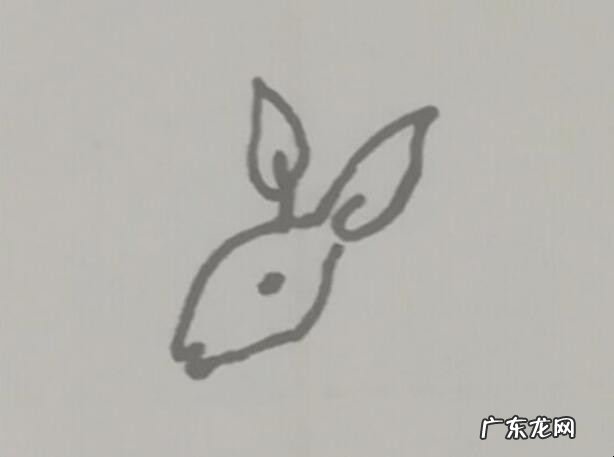 小袋鼠简笔画怎么画