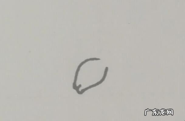 小袋鼠简笔画怎么画