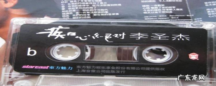 《痴心绝对》歌词是什么