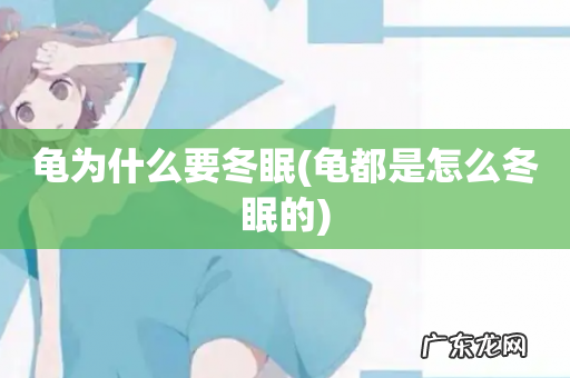 龟都是怎么冬眠的 龟为什么要冬眠