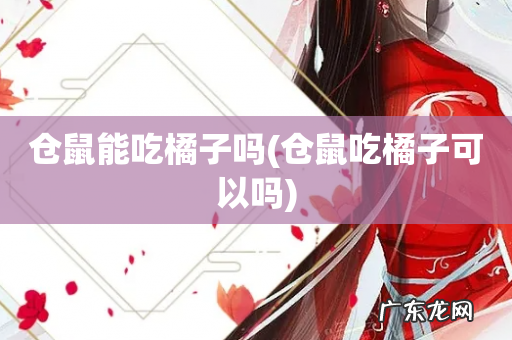 仓鼠吃橘子可以吗 仓鼠能吃橘子吗