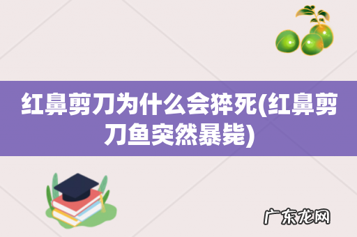 红鼻剪刀鱼突然暴毙 红鼻剪刀为什么会猝死