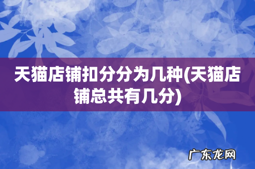 天猫店铺总共有几分 天猫店铺扣分分为几种
