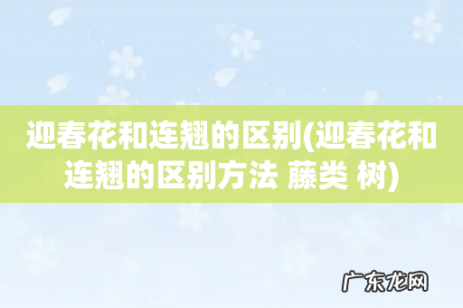 迎春花和连翘的区别方法 藤类 树 迎春花和连翘的区别