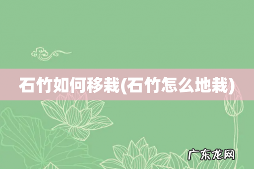 石竹怎么地栽 石竹如何移栽