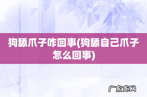 狗舔自己爪子怎么回事 狗舔爪子咋回事