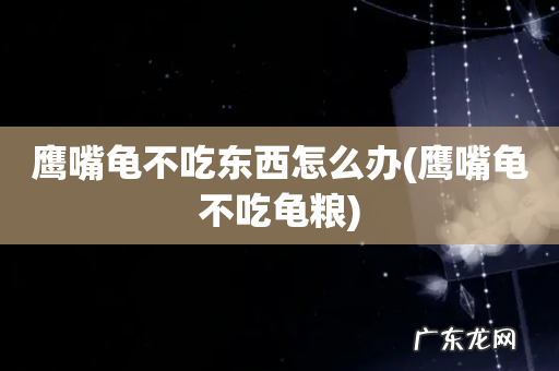鹰嘴龟不吃龟粮 鹰嘴龟不吃东西怎么办
