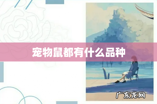 宠物鼠都有什么品种