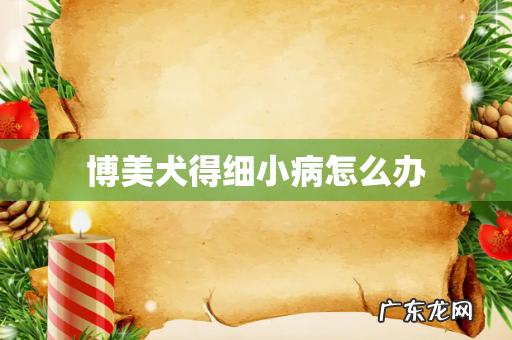 博美犬得细小病怎么办