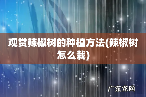 辣椒树怎么栽 观赏辣椒树的种植方法