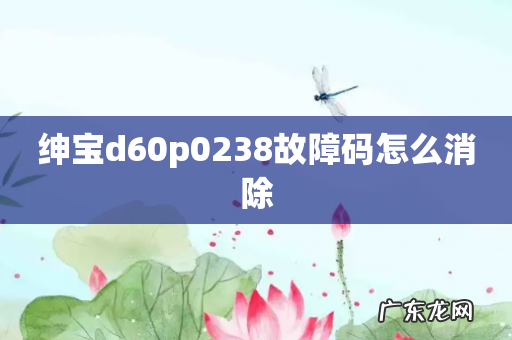 绅宝d60p0238故障码怎么消除