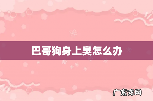 巴哥狗身上臭怎么办