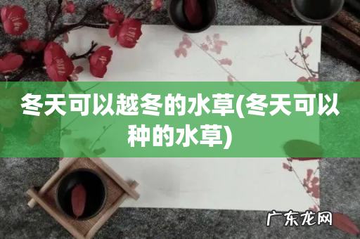 冬天可以种的水草 冬天可以越冬的水草