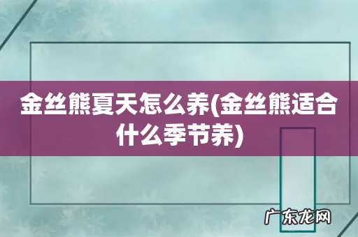 金丝熊适合什么季节养 金丝熊夏天怎么养