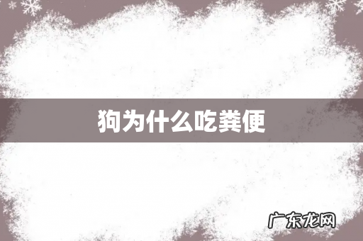 狗为什么吃粪便