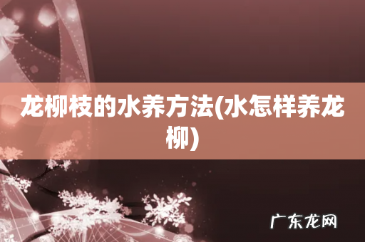 水怎样养龙柳 龙柳枝的水养方法