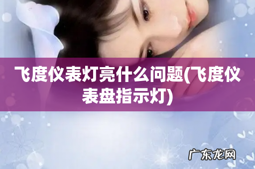 飞度仪表盘指示灯 飞度仪表灯亮什么问题