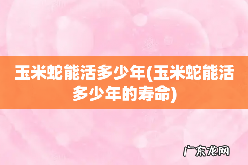 玉米蛇能活多少年的寿命 玉米蛇能活多少年