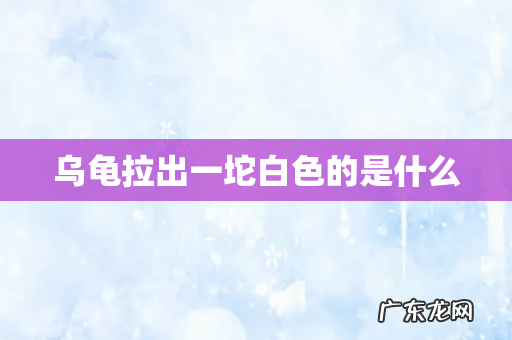 乌龟拉出一坨白色的是什么