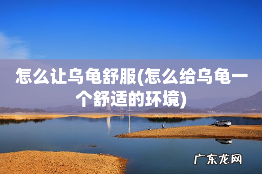 怎么给乌龟一个舒适的环境 怎么让乌龟舒服