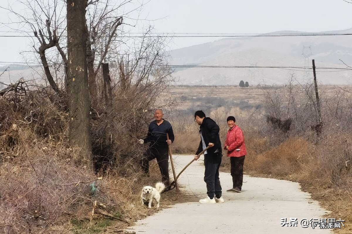 风水上家里适合种草莓吗 屋里种草莓影响风水吗?