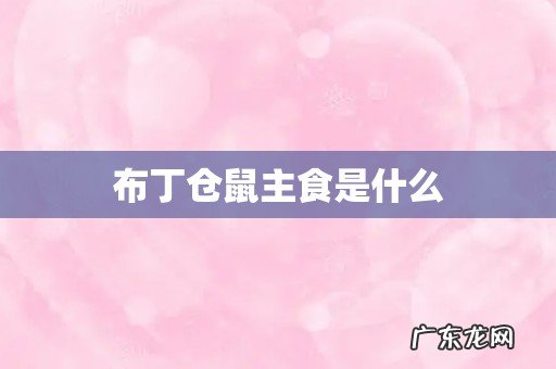 布丁仓鼠主食是什么