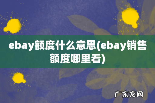 ebay销售额度哪里看 ebay额度什么意思