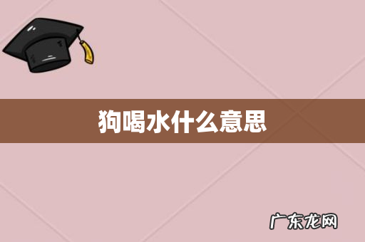 狗喝水什么意思