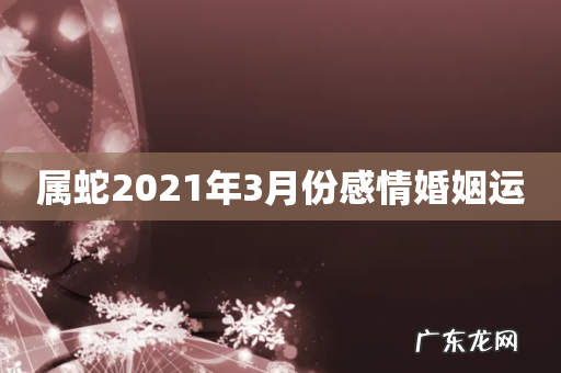 属蛇2021年3月份感情婚姻运