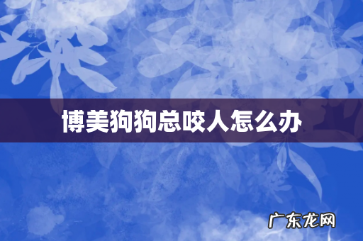 博美狗狗总咬人怎么办