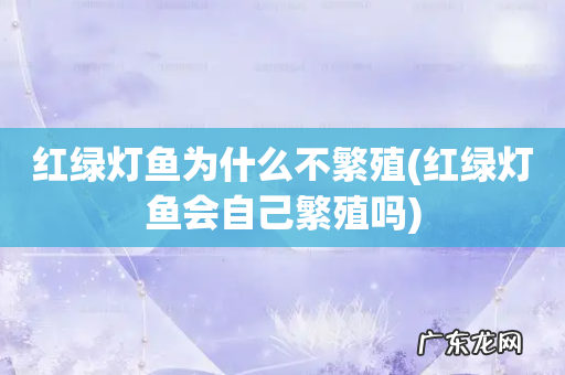 红绿灯鱼会自己繁殖吗 红绿灯鱼为什么不繁殖