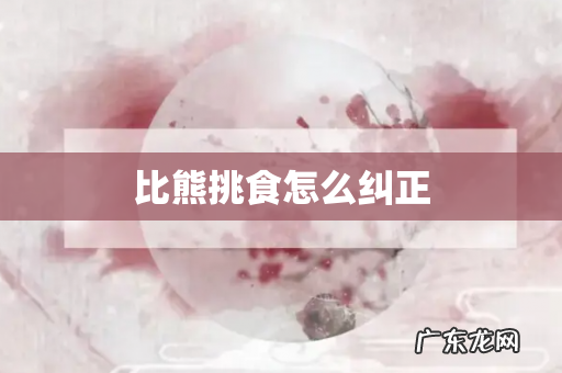 比熊挑食怎么纠正