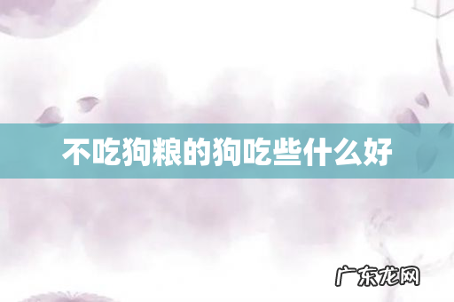 不吃狗粮的狗吃些什么好